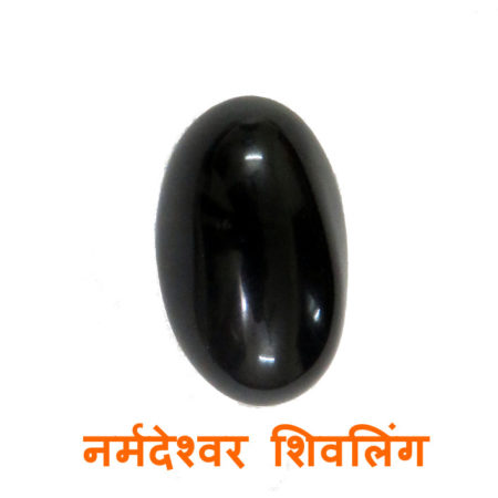 Narmadeshwar Shivling