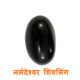 Narmadeshwar Shivling